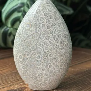 Fossil Coral Tear Drop