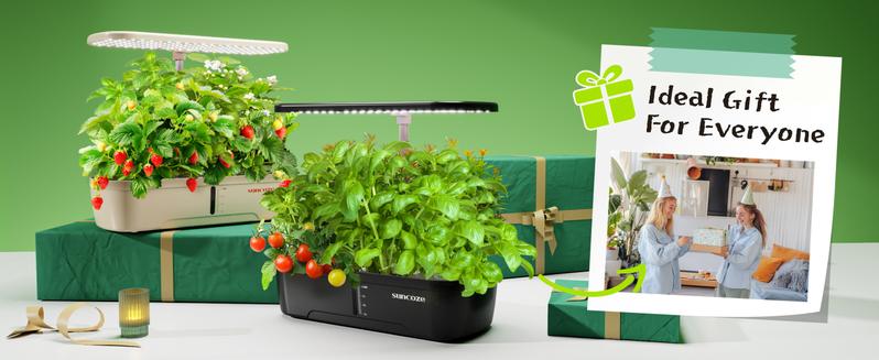 SUNCOZE Hydroponics Growing System Kit 12 Pods, Indoor herb Garden with 20W LED Grow Light, Visible Water Tank with Pump, 2.2"-12.4" Adjustable Height Indoor Gardening System, Gardening Gifts