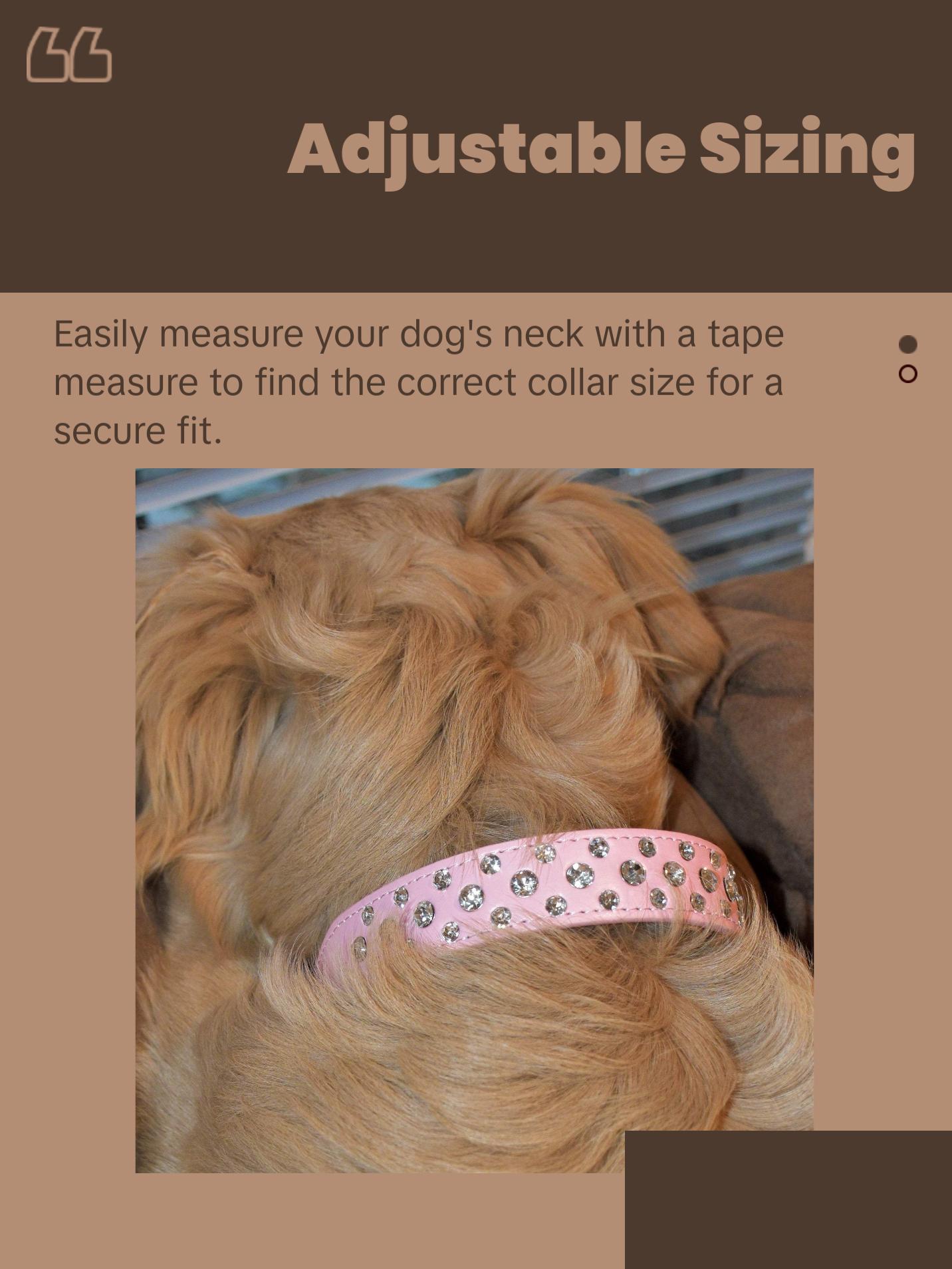 Baby Pink Dog Collar