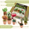 Needle Felting Cactus Kit for Beginners | Woolbuddy