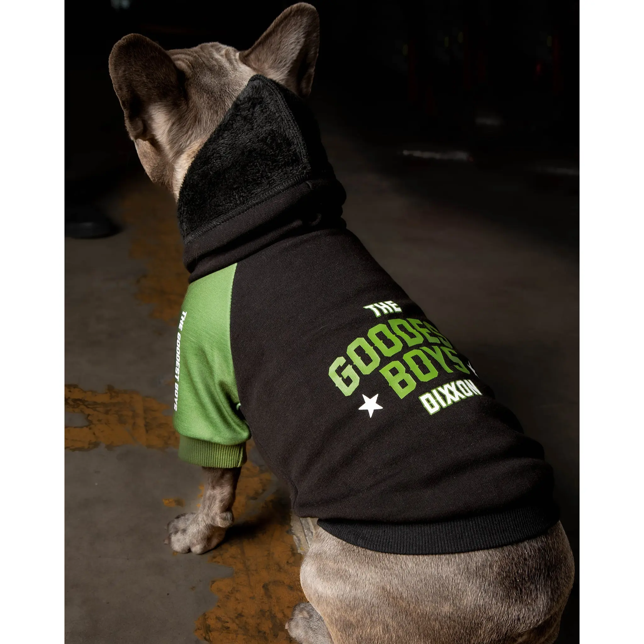 Dog Hoodie - Goodest Boys - Black & Green