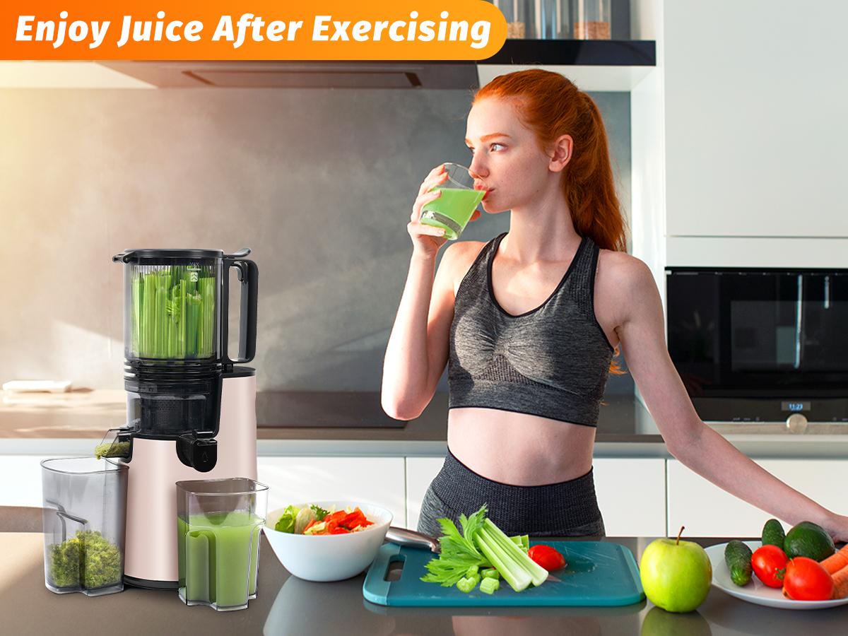 LQZ Cold Press Juicer-Slow Masticating Machines, 350W, 5.4" Feed Chute for Whole Fruits & Vegetables,High Juice Yield,Easy to Clean