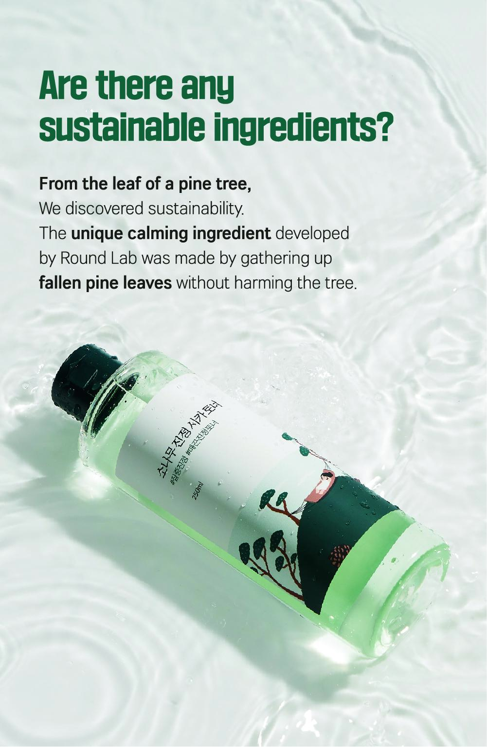 [PINE CICA LINE] Pine Calming Cica Toner_250ml