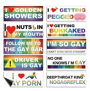 10Pcs Funny LGBT Magnetic Car Stickers Set – Rainbow Pride Bumper Decals for Car, Truck, Laptop, Luggage & Window – Waterproof Colorful Vinyl Car Accessories, Unique Prank Stickers
