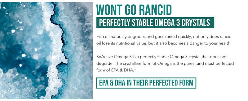 SoActive Omega 3 EPA & DHA (500 MG) - Bloodstream-Ready Healthcare Dietary