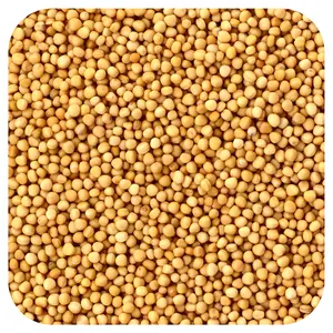 Frontier Co-op Organic Whole Yellow Mustard Seed, 16 oz (453 g)