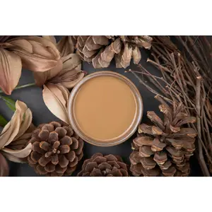 Pine Cone- Dixie Belle Chalk Mineral Paint
