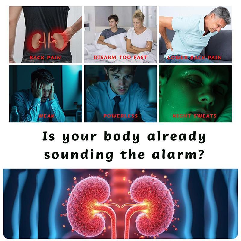 Natural Energy Boost Tea with Real Ginseng & Maca Root | Traditional Kidney Support Herbal Blend for Fatigue & Focus | Pre-Workout Drink & Office Essentials | Sugar-Free Tea Bags (20-60 Count) Natural Energy Boost Tea with Real Ginseng & Maca Root | Traditional Kidney Support Herbal Blend for Fatigue & Focus | Pre-Workout Drink & Office Essentials | Sugar-Free Tea Bags (20-60 Count)