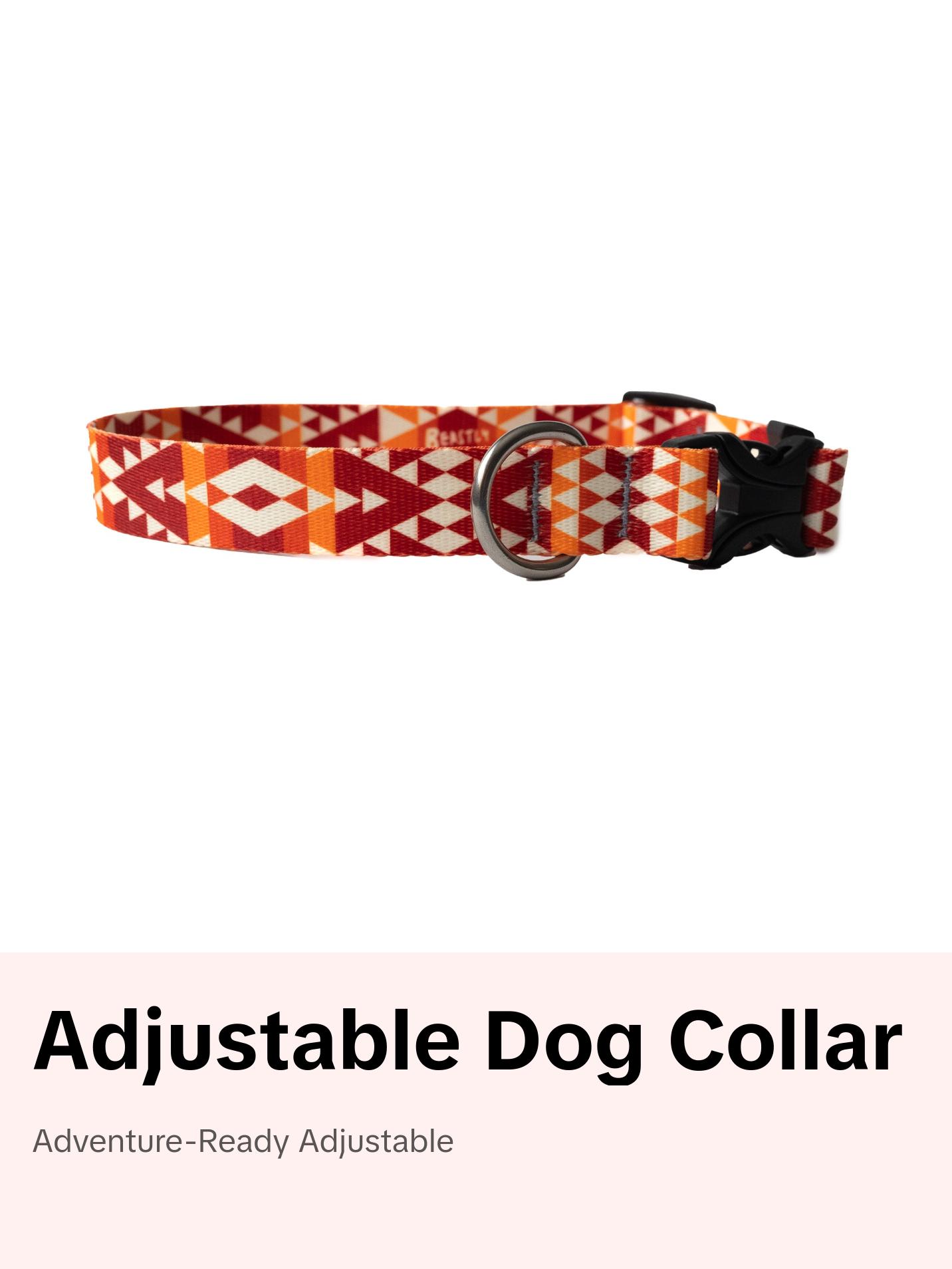 Hyperion Dog Collar