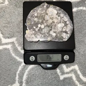 Flower Agate Slice Polished Clean Natural 354g