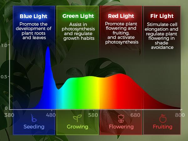 Barrina T10 Pro Standing Grow Light with Timer, 42W, 5000K, Full Spectrum, Wide Coverage, 4FT to 5.6FT Height with Foot Switch