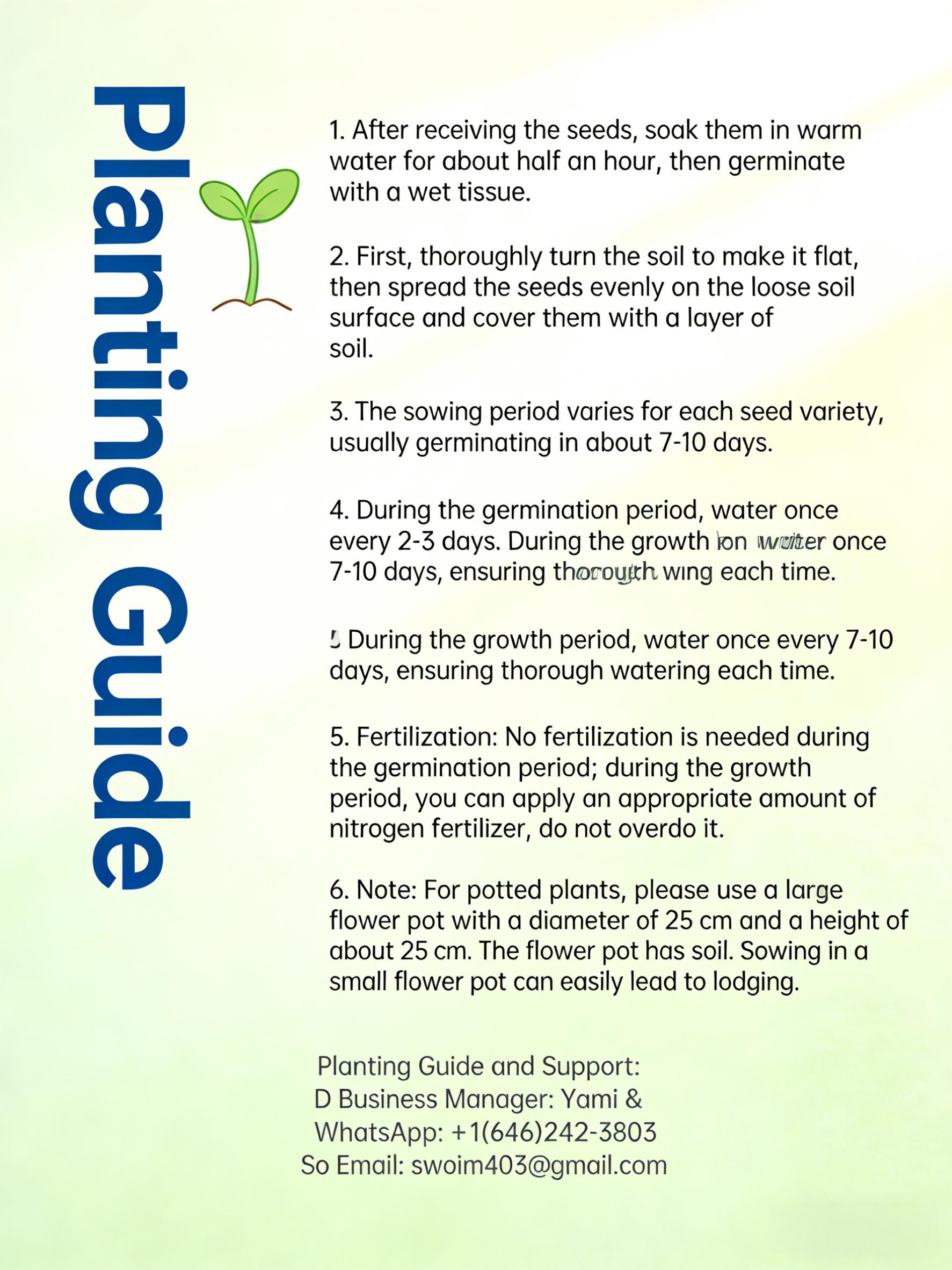 Blueberry Seeds | Home Gardening Fruit Seeds | Planting Guide for Beginners, a must-have for plant enthusiasts