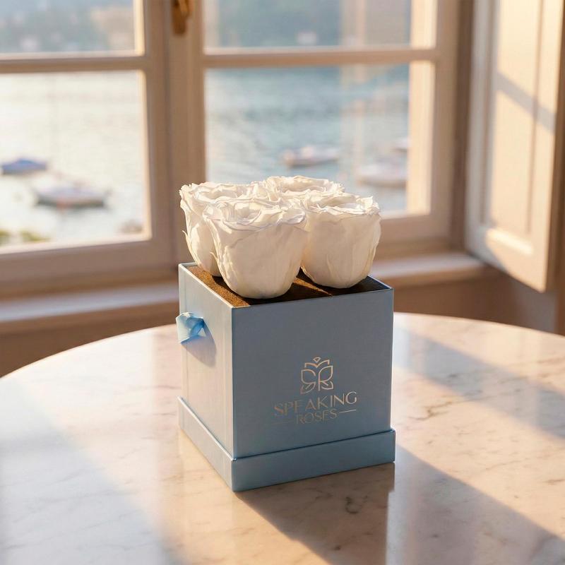 Sovelle OXS  - Valentine's Day Collection