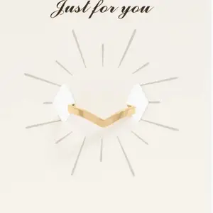 18K Gold Pvd Stainless Steel Point Toe Ring