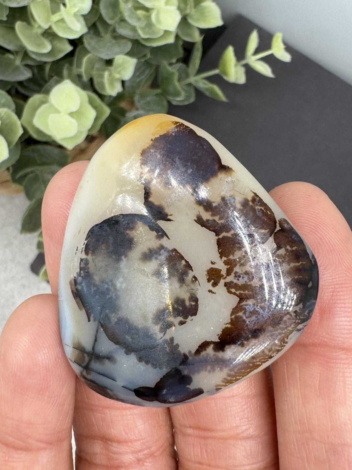 Dendritic Agate Stones Decor Ornaments