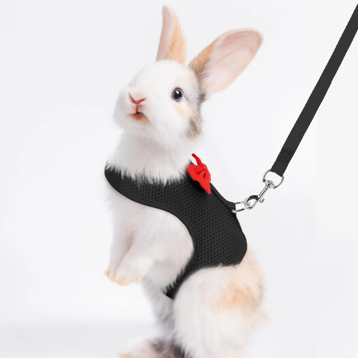 Rabbit Harness and Leash Set - Bow Decorated Small Pet Chest Vest, Essential Small Animal Supplies