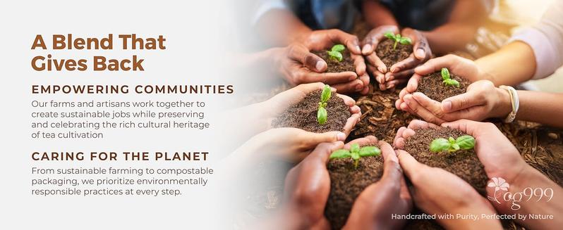 Liver and Kidney Cleanse Tea - a Natural Hand-picked dandelion, cassia, wolfberry, licorice, gardenia, chrysanthemum Organic Herbs, Edible corn fiber tea bags, Beverage Natural