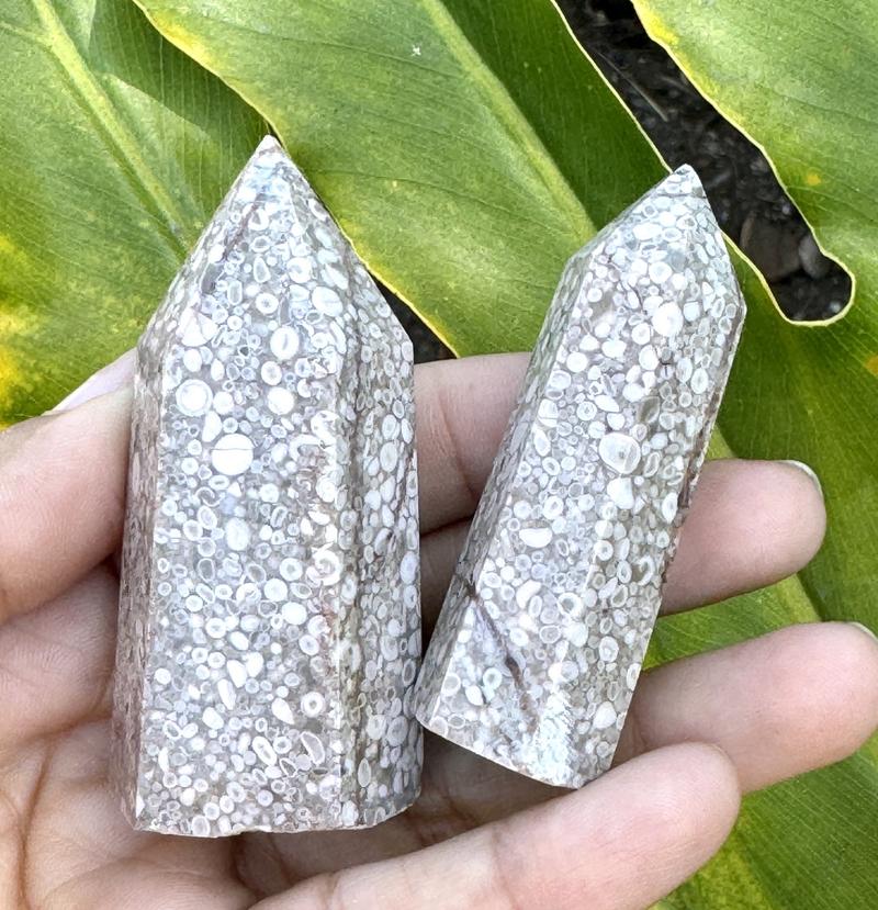 Fossilized Coral Jasper Towers from Urban Rutile