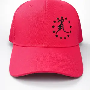 R3 pink with black logo Snapbacks