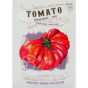 Tomato-Brandywine 1885 Heirloom