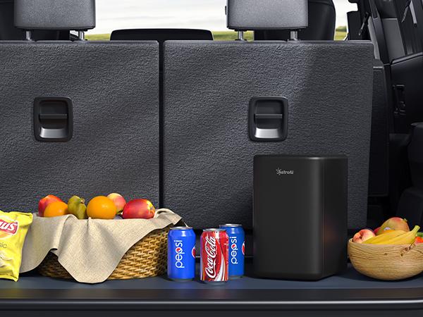 AstroAI 6 Liter/8 Cans Capacity  Portable Mini Fridge Ease Of Handling with 110V AC/12V DC Power Cables, 1500W Refrigeration Function For Home And Car Use