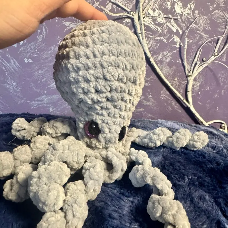 Octopus Octopus