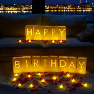 Happy Birthday Light Up Letters Luminary Bags with Flameless Candles and Fake Rose Petals, Happy Birthday Sign Party Decoration for Women Men