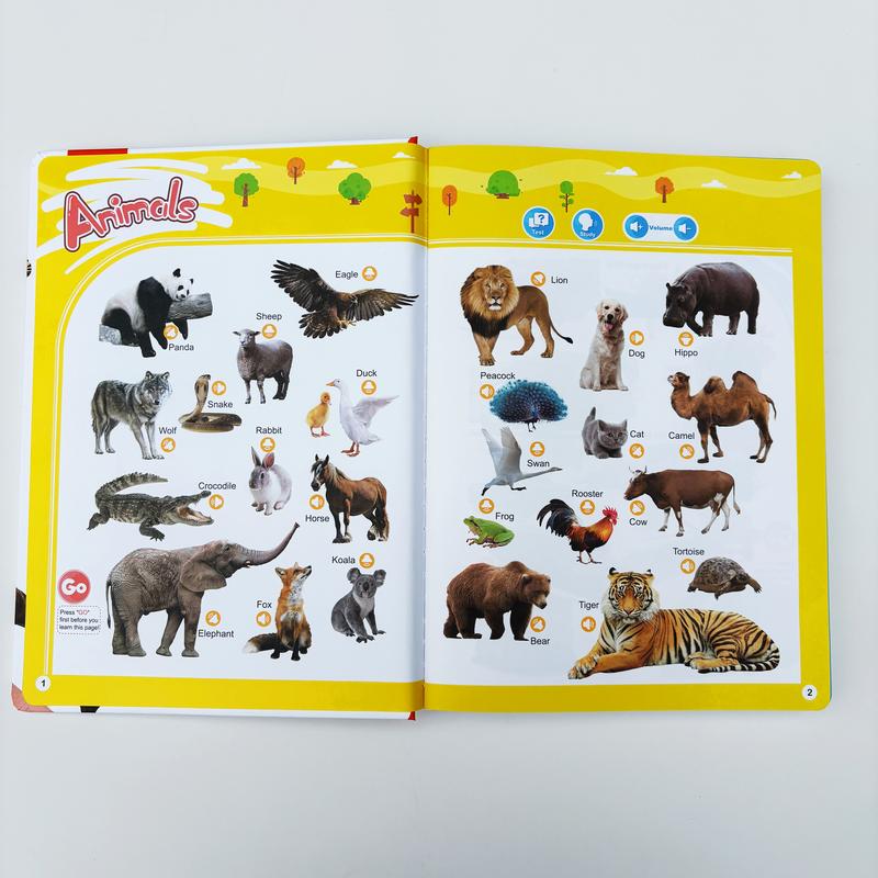 1–9Y Sound Book Combo Set – 13 & 21 Themes, 770+ Words, 6 Songs & Piano – Educational Talking Books & Early Learning Toys for Kids + Free 1 Busy Book (12PCS) Gift for toddlers Bilingual Booklet