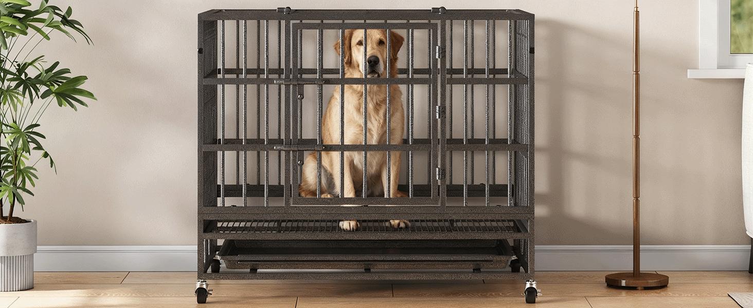 Collared Eagle Heavy-Duty Dog Cage 38" x 48", Reinforced Bottom Panel, Supports up to 200 lbs, Double Door Design, Wheels, Indoor Kennel for Large Breeds, Top-Loading Portable Enclosed Enclosure