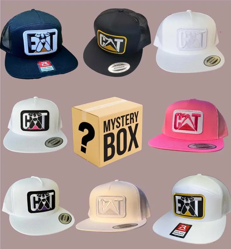 One Hat box Random Collection Hat Classic Snapback, Cat Mesh Back Hat, Embroidered Cat Snapbacks 2 Trucker Mesh hat, Unisex Snapback Embroidered Hat Unisex Hat