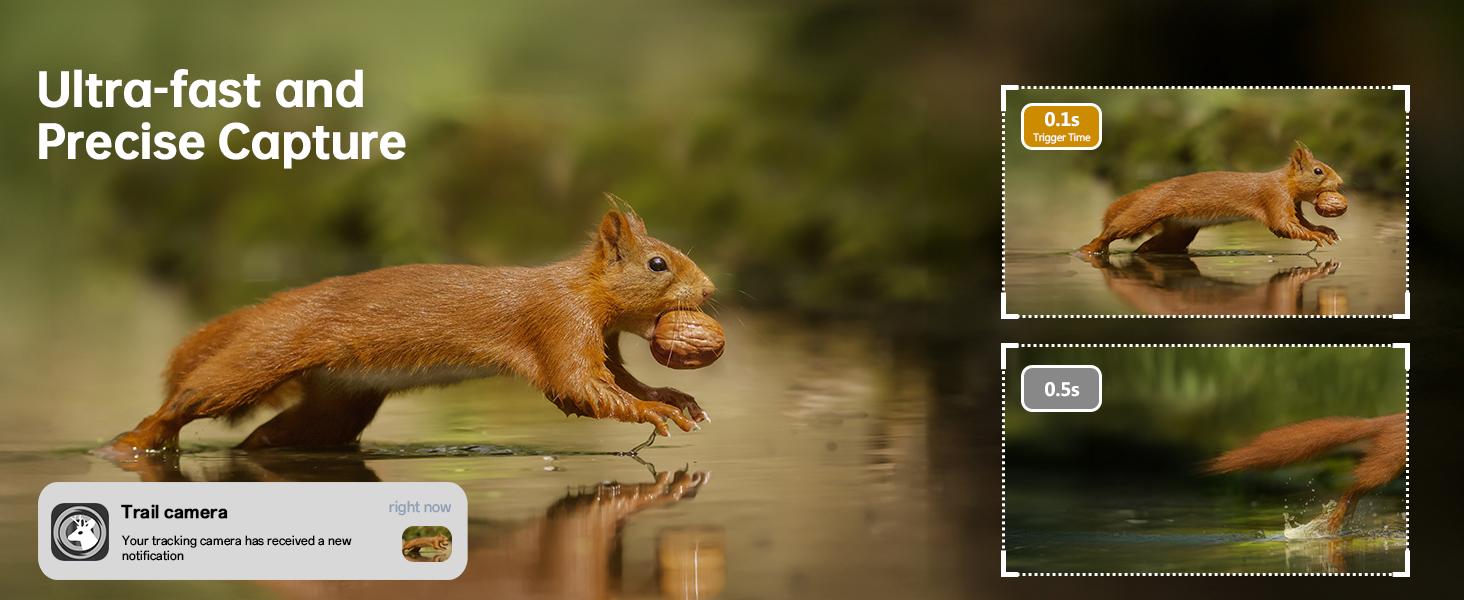 4G Remote Hunting Camera with GPS, 1.6K HD Night Vision, 0.1s Ultra-Fast Trigger, Clear Night Imaging, IP67 Waterproof, Built-in GPS Tracking, Suitable for Wildlife Monitoring / Hunting / Farm Security. Survival Kit