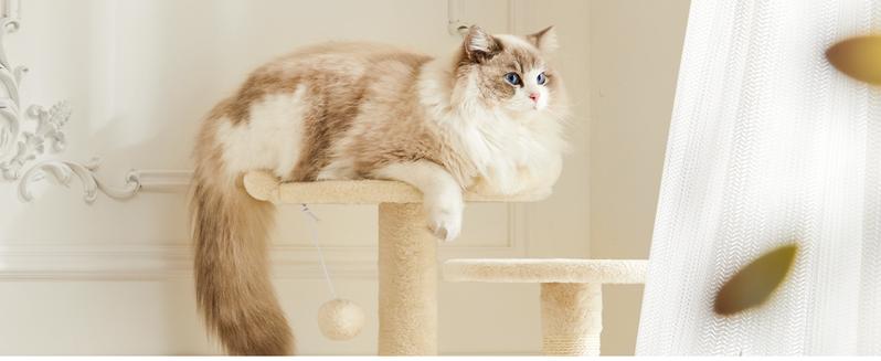 Cat Climbing Shelf, 54-Inch Post Cascading, Indoor Playhouse, Cozy Nest, Durable, Space-Saving Design, Gift for Pet Owners