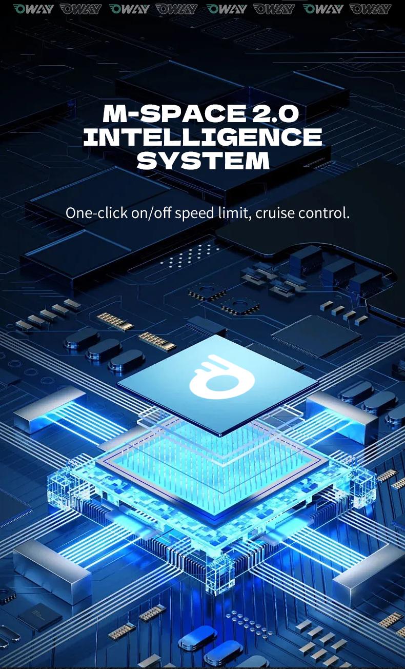 OWAY Black Warrior electric bicycle sk-1 ultra 3000W 60v 50ah High Speed Long Range 62mile high fatebike