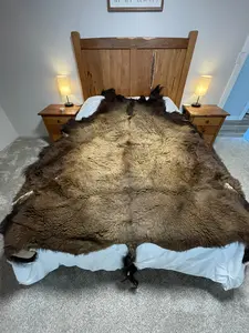 Bison Hides #36