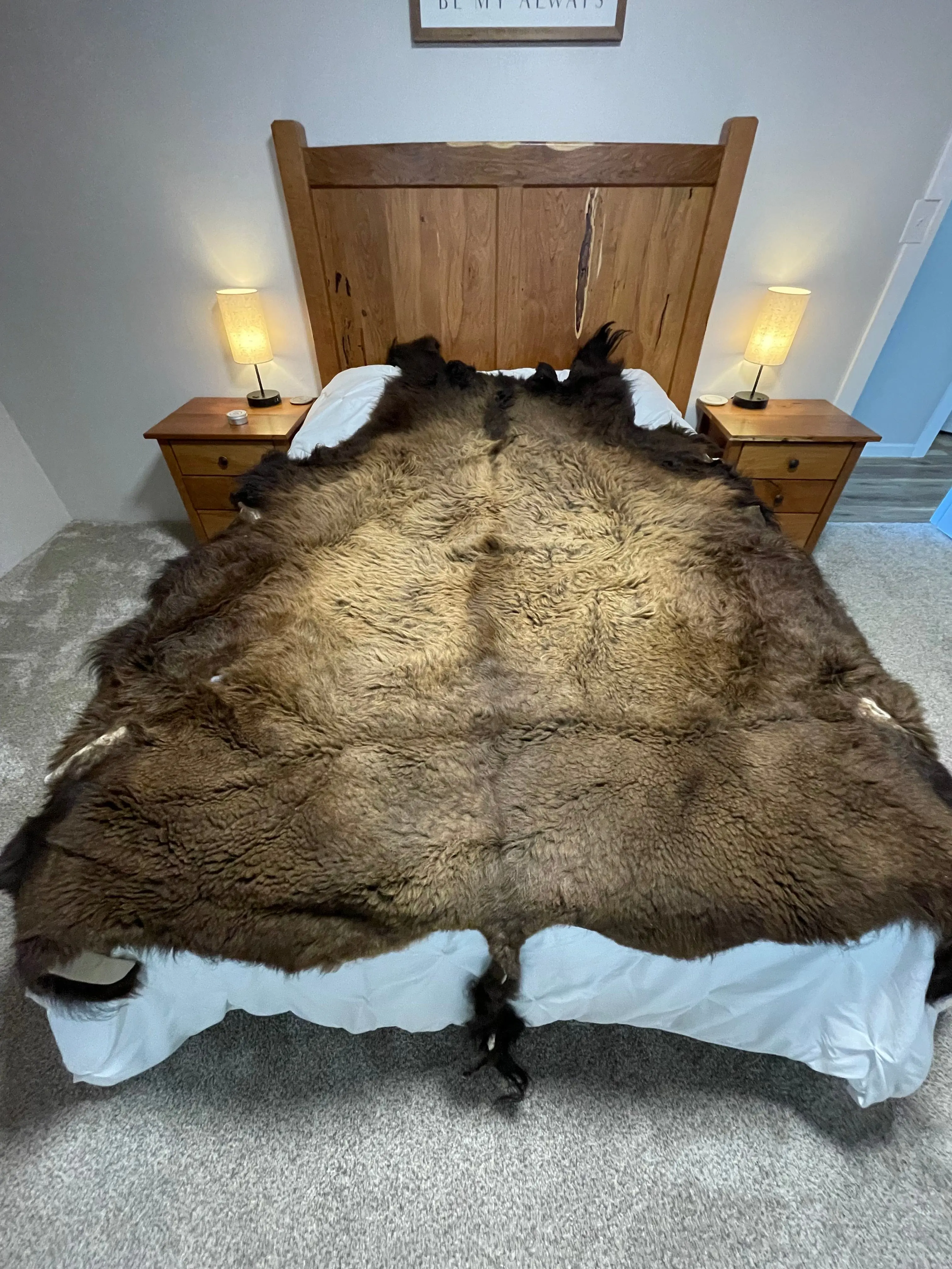 Bison Hides #36