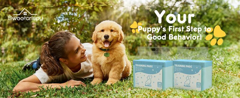 Sweetcrispy  Dog Puppy Pee Pads, Disposable Training Pee Pads, Leakprood and Quick Drying,  for Potty Training, Incontinence Pads