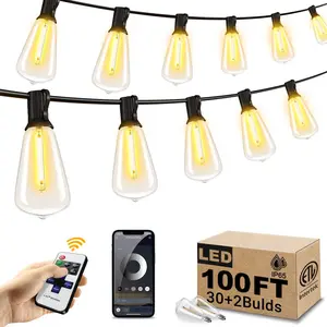 Dreamland Smart Outdoor String Lights Patio Deals 100FT with 32 Shatterproof,ST38 Vintage Edison Bulbs, Waterproof with with Remote and APP Control Hanging Lights for for Porch, Deck, Garden, Backyard, Balcony  ：