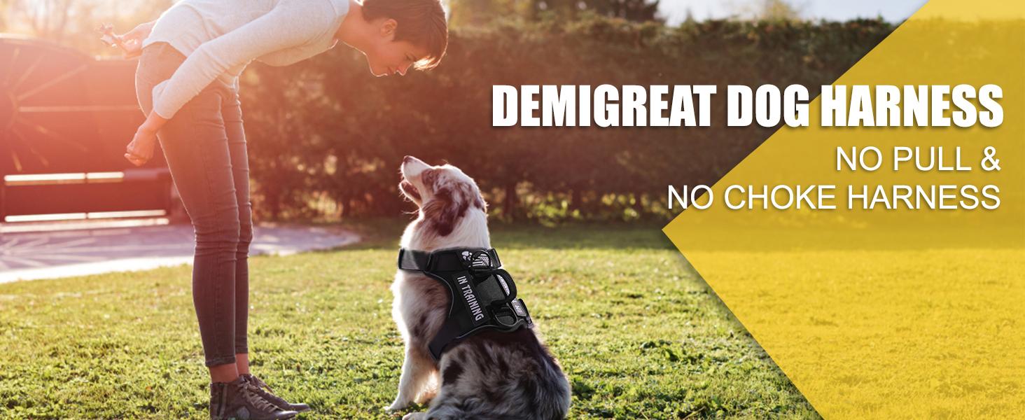 Service Dog Harness with Reflective Vest - Adjustable Soft Oxford Pet Harness with 5 Removable Patches Breathable Mesh Lining Easy Control for Small & Medium Dogs Geometric Design