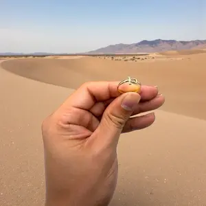 Anillo de oro amarillo 14K con cruz egipcia (Ankh)  Delicado anillo elaborado en oro amarillo 14K, con un fino diseño de cruz egipcia (Ankh) size 7-1/2