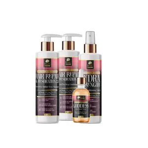 Intensive Damage Repair System