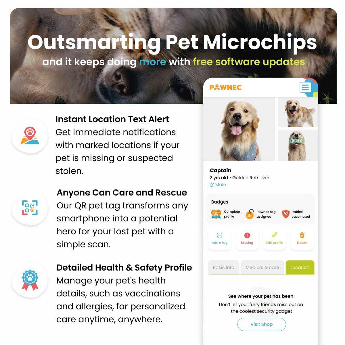 NeoCollar 'Pet Paradise' - 2-in-1 dog collar with ID tag - personalized with name - customized collar for pets