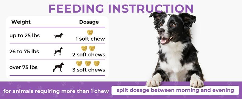 HAPWAG 8-in-1 Multivitamin Soft Chews for Dogs – Probiotics, Gut & Immune Support – Pork Flavor – 90 Treats