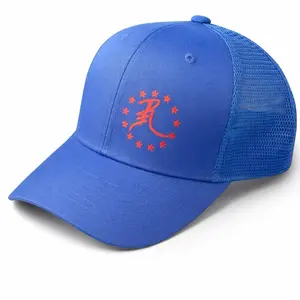 R3 blue with red logo Snapbacks