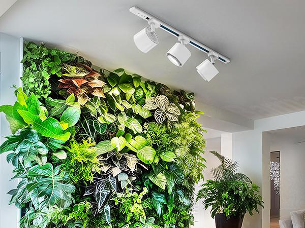 Barrina TR40c 3 x 40W LED Grow Lights 5000K | Full Spectrum, Ceiling Track & Timer | TR40c Barrina TR40c 3 x 40W LED Grow Lights 5000K | Full Spectrum, Ceiling Track & Timer | TR40c