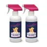 PET STAIN TREATMENT AND ODOR DESTROYER 16oz - 2pk
