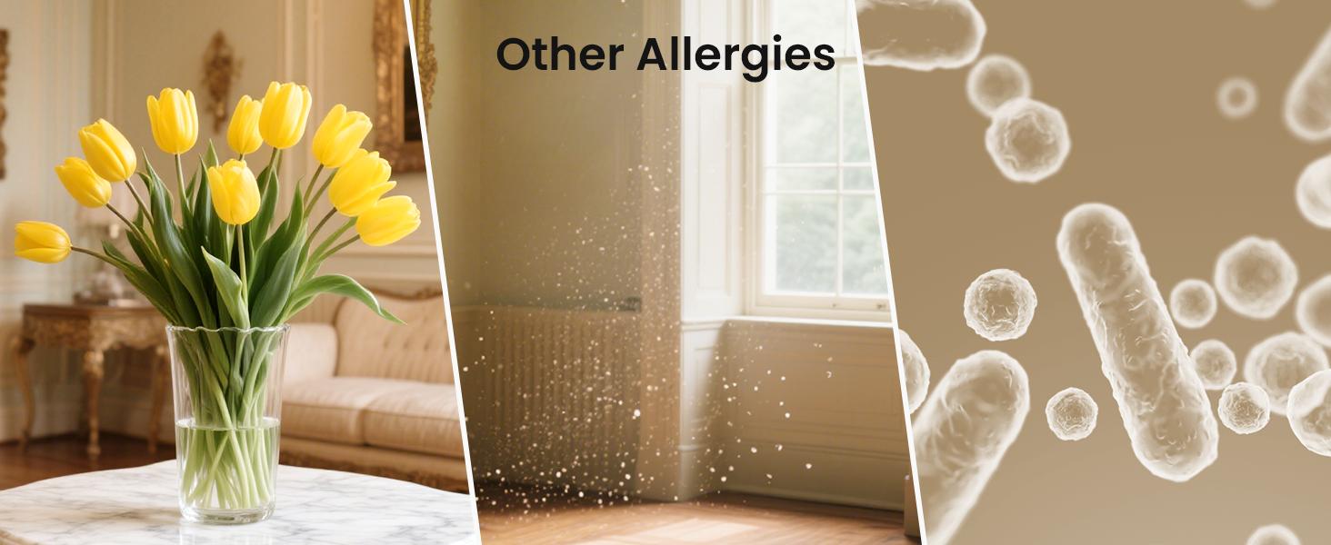 【2026 New Arrivals】Heapets P358 Pet Purifier for Home Large Room (Up to 2500 sq ft), H13 HEPA Double-Sided Filter, Cleaner for Pet Hair, Dander, Odor, Allergens, PM2.5, with Quality Monitor, Auto Mode, 5 Speeds, Ce, Apartment, Modern Family, Hair Removal, 【2026 New Arrivals】Heapets P358 Pet Purifier for Home Large Room (Up to 2500 sq ft), H13 HEPA Double-Sided Filter, Cleaner for Pet Hair, Dander, Odor, Allergens, PM2.5, with Quality Monitor, Auto Mode, 5 Speeds, Ce, Apartment, Modern Family, Hair Removal,