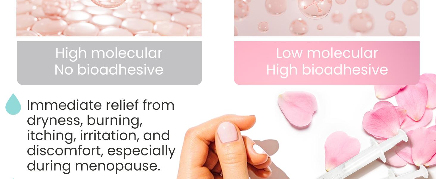 Hydro GYN Vaginal Moisturizer | Long-Lasting Intimate Care Moisturizer for Vaginal Dryness & Irritation | Hyaluronic Acid & Vitamin E | Hormone-Free Feminine Care | Pre & Post Menopausal | 10 Pre-Filled Applicators