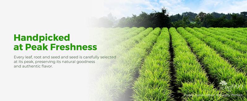 TOG999, Premium Stomach & Liver Herbal Tea – 60 Tea Bags – Milk Thistle Seed, Ginger, Fennel, Peppermint & Licorice – Caffeine-Free – Soothing & Refreshing Herbal Blend for Daily Enjoyment