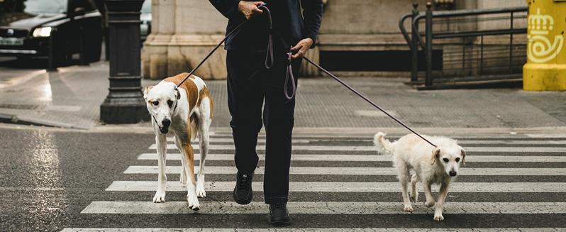 HOBIBEAR Men's Spring and Autumn Barefoot Shoes Lace-Up Low Top Casual Lightweight Wide-Fit Walking Shoes Sports Shoes