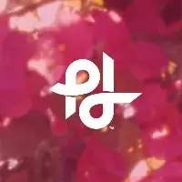 Popilush LLC Popilush LLC